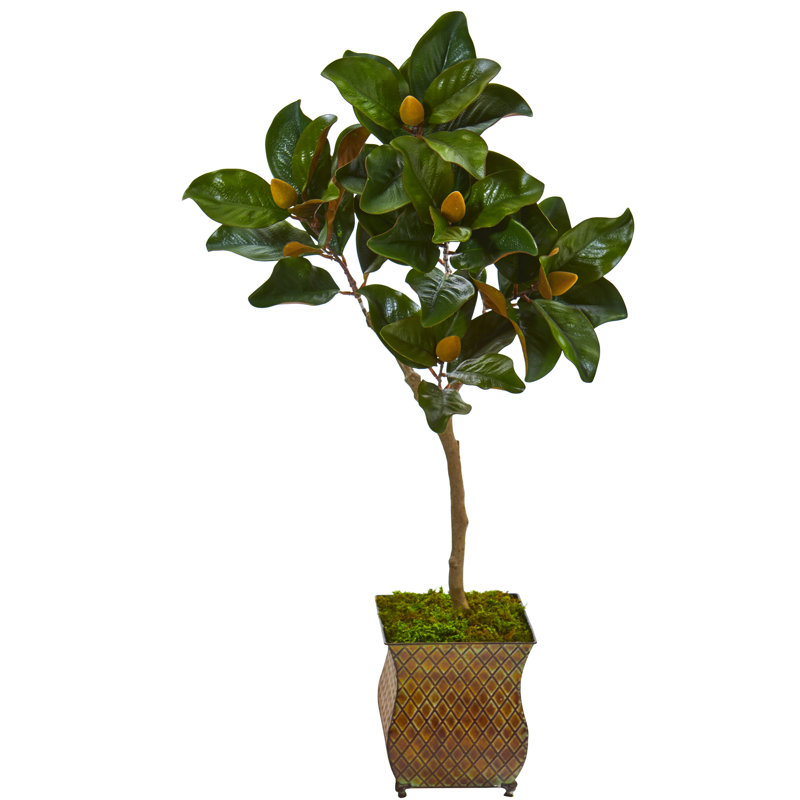 Gracie Oaks Artificial Magnolia Tree in Planter Wayfair